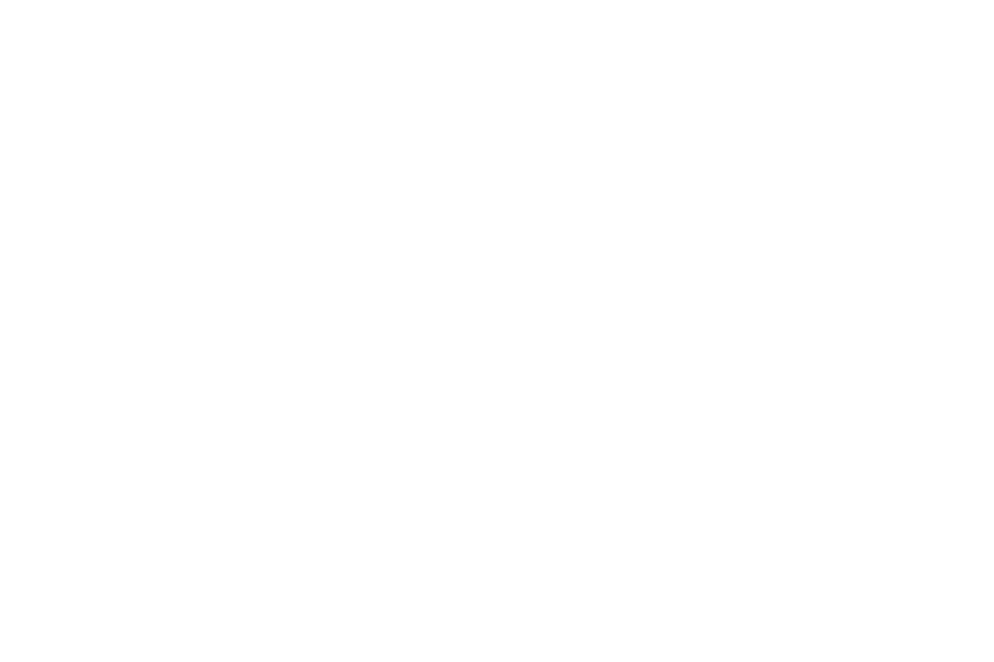 distribution.png