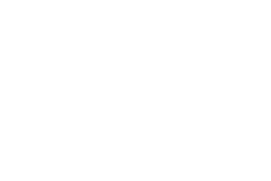 performance.png